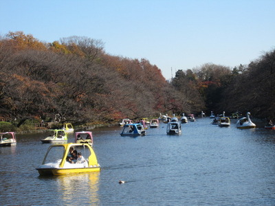 park. 600m to Inokashira Park (park)