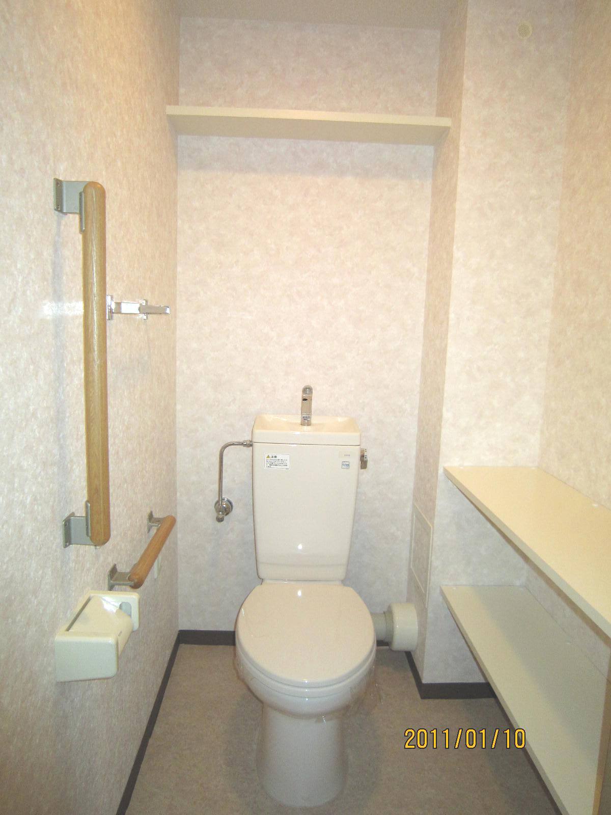 Toilet. Loose wide toilet. Happy Shelved.