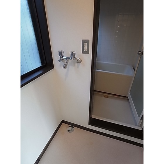 Washroom. Washing machine in the room