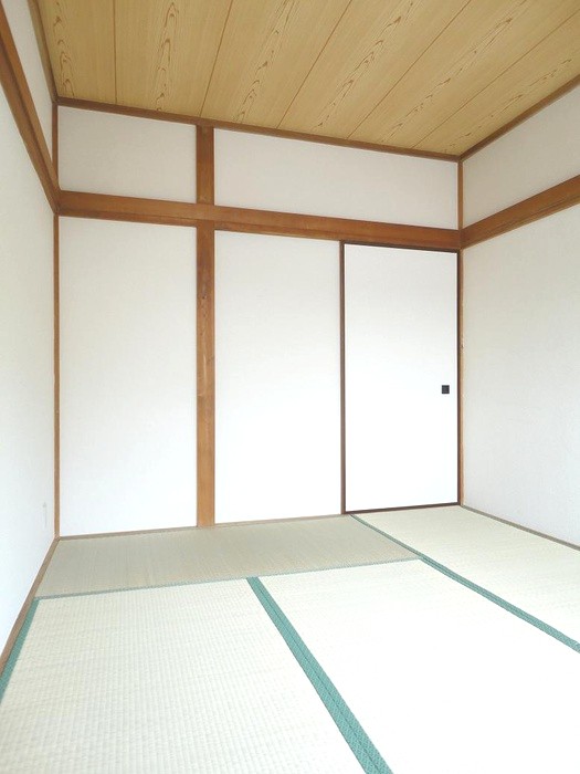 Living and room. Purring relax in tatami
