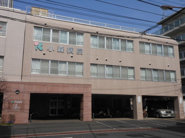 Hospital. Komori 590m to the hospital (hospital)