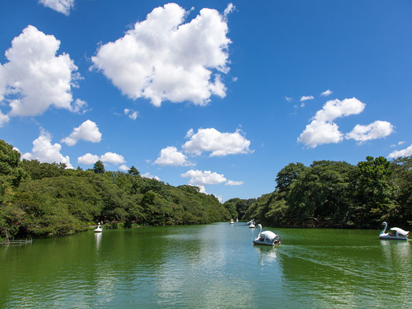 Surrounding environment. Inokashira Park (about 110m)