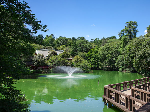 Surrounding environment. Home to about 380,000 sq m stuff site, Inokashira Park that original landscape serving as the rich natural forest of Musashino was left heavily. With is praised as a scenic spot, and the like counted in the "100 election Japan Sakura attractions", It has continued to play a rich cultural formation of Kichijoji. (About 110m)