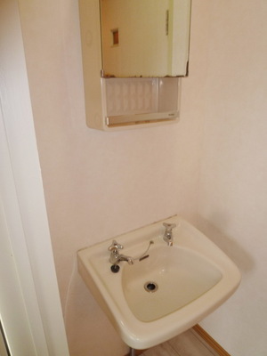 Washroom. Independent wash basin