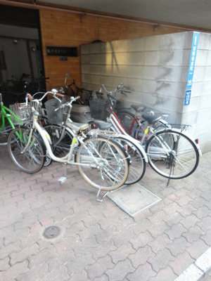 Parking lot. Bicycle parking space