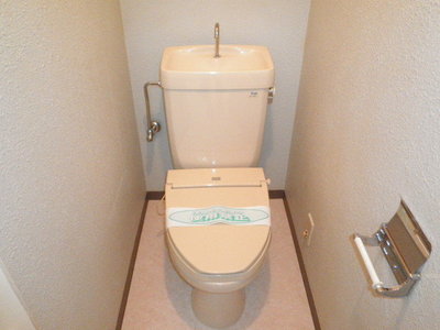 Toilet. With warm toilet seat function
