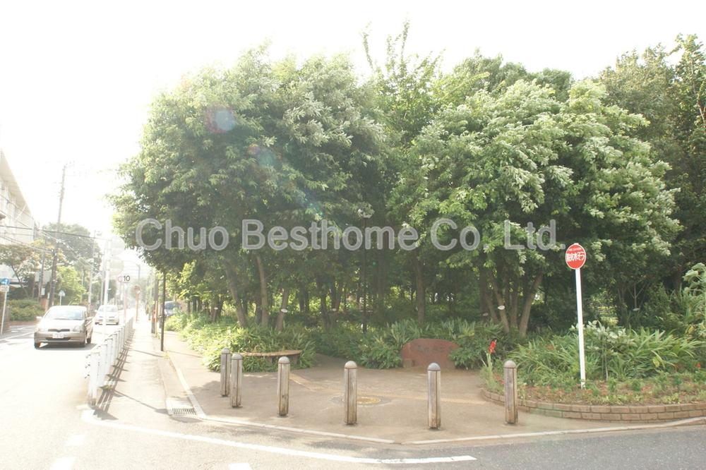 Other. Forest Park of citizens