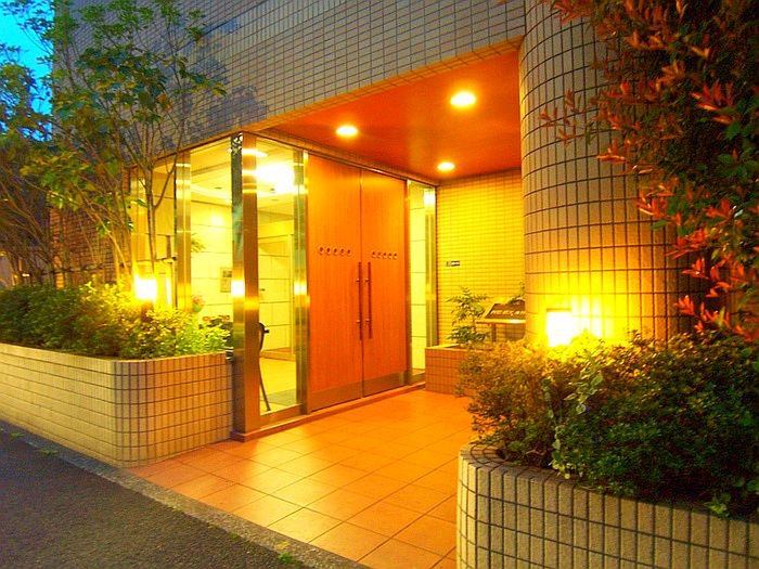 Other. Luxurious entrance is the night of the face