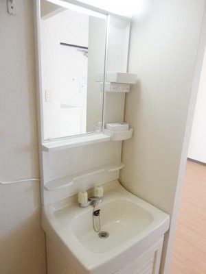 Washroom. Independent wash basin