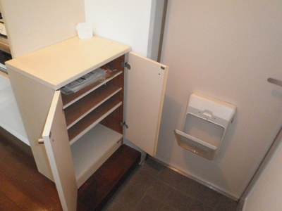 Entrance. Entrance footwear input