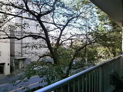 View photos from the dwelling unit