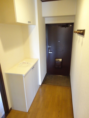 Entrance. Entrance hall