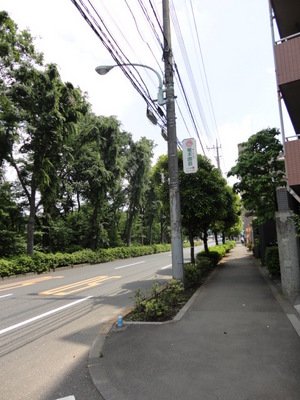Other. 10m to the front of the street (other) of the eye