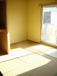 Living and room. Sunny