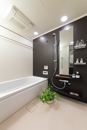 Bathing-wash room. Bathroom