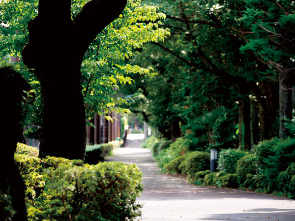 Surrounding environment. Ground (local adjacent)