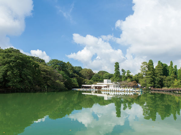 Surrounding environment. Metropolitan Inokashira Park (about 870m ・ 11-minute walk)