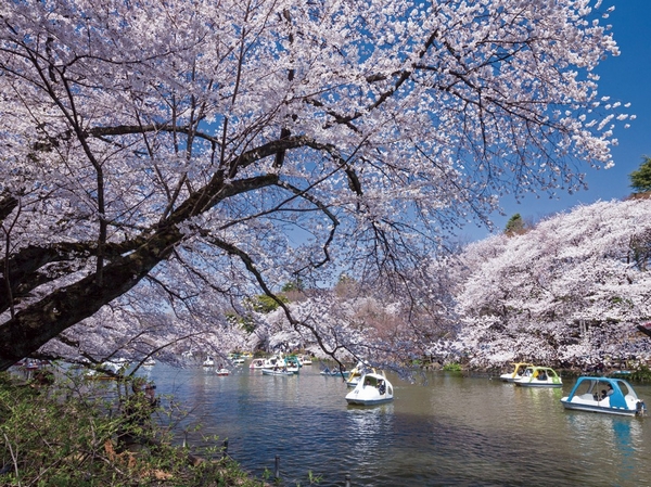  [Traffic guide map] Fraction of the published are those of the time during the day normal, Etc. depends on the time of day when commuting. Also, transfer ・ It does not include waiting time, etc.