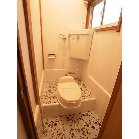 Toilet. Toilet image