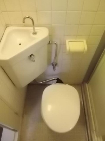 Toilet
