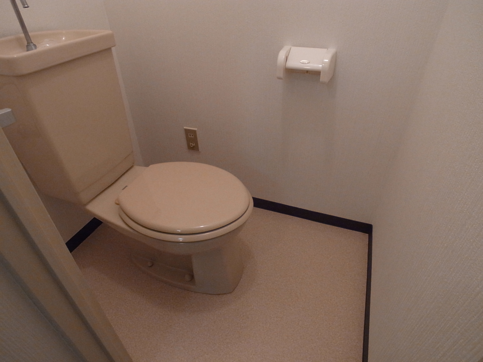 Toilet. This is a conventional toilet