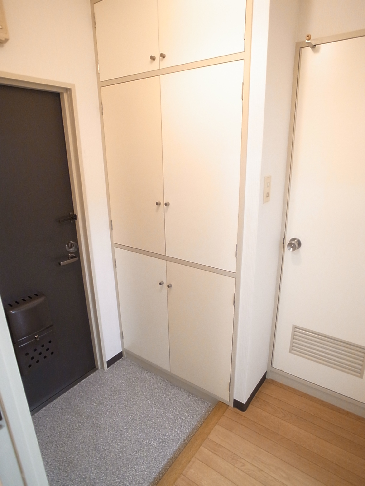 Entrance. It installed a large shoe box in the foyer