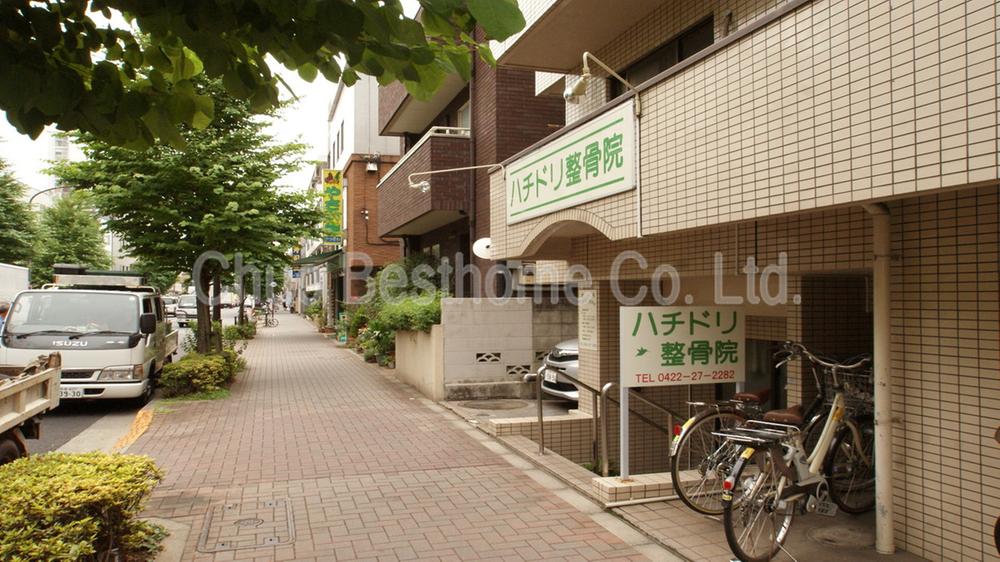 Other. Hummingbird Osteopathic Council