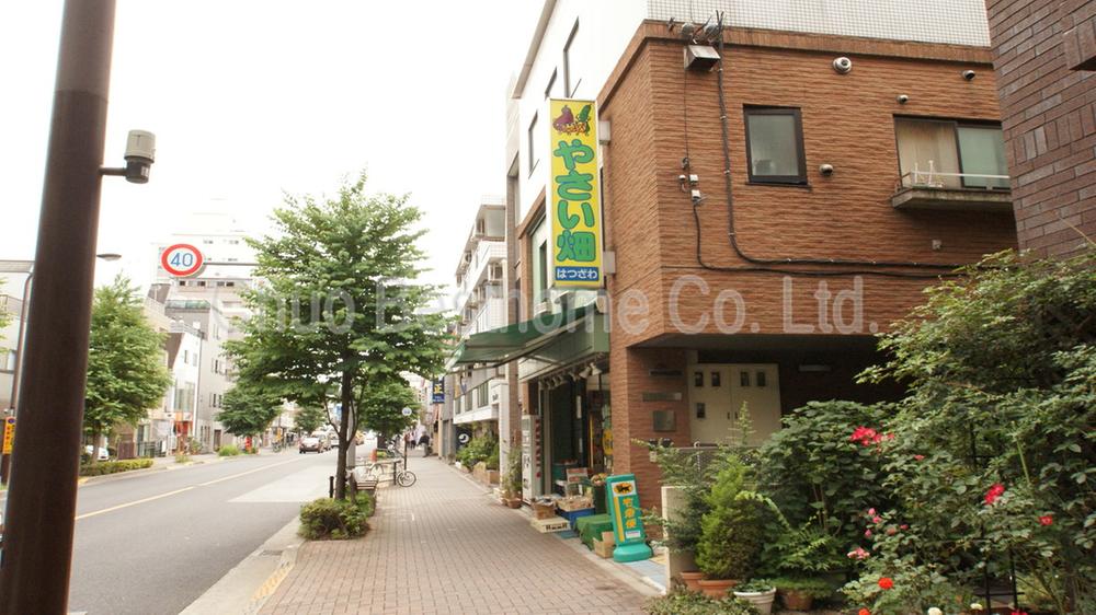 Other. Vegetable garden is Tsuzawa