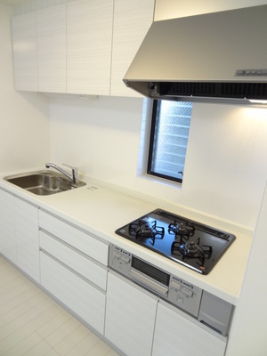 Kitchen. 3-neck gas grill with a system Kitchen