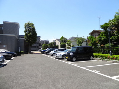 Parking lot. On-site parking complete