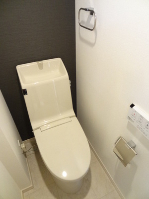 Toilet. Cleaning function toilet