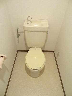 Toilet. Toilet with cleanliness. 