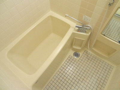 Bath. Bathroom to heal fatigue of the day. 