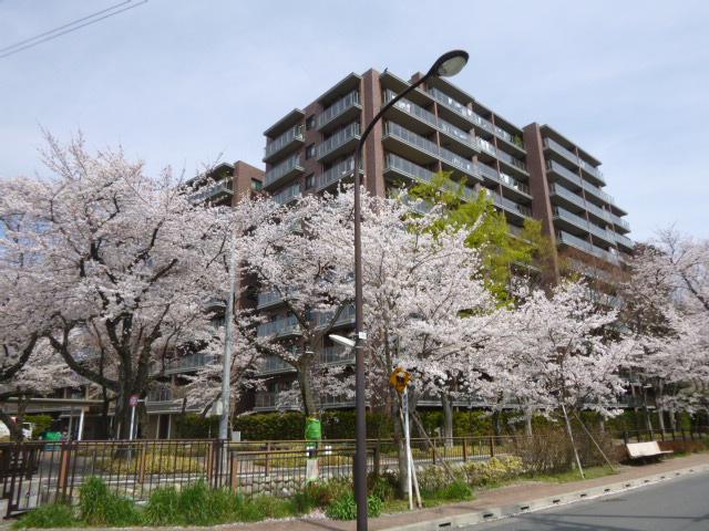 Local appearance photo. Local (March 2013) Shooting