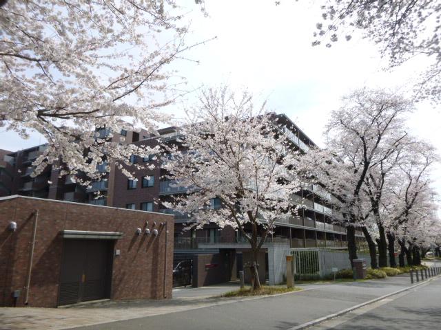 Local appearance photo. North entrance (March 2013) Shooting