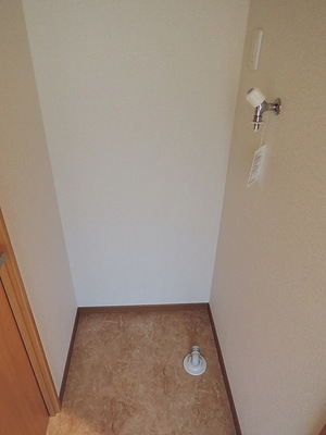 Washroom. Indoor Laundry Storage