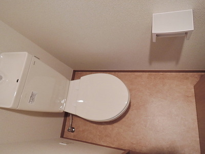 Toilet. Toilet (new)