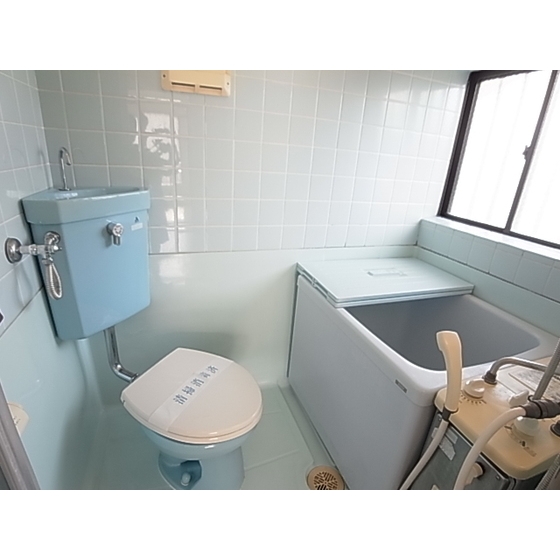 Other. There is a window in the bathroom