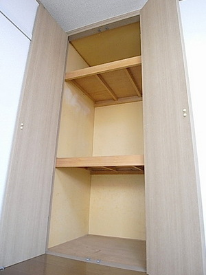 Living and room. It is a large storage of from the ceiling to the floor