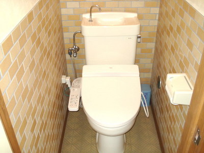 Toilet.  ☆ Happy heating hot water toilet seat ☆