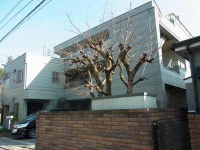 Building appearance. South-facing sunny living environment favorable