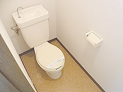Toilet. Toilet