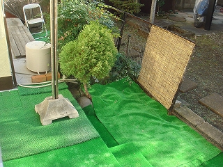 Garden. There is a spacious garden!