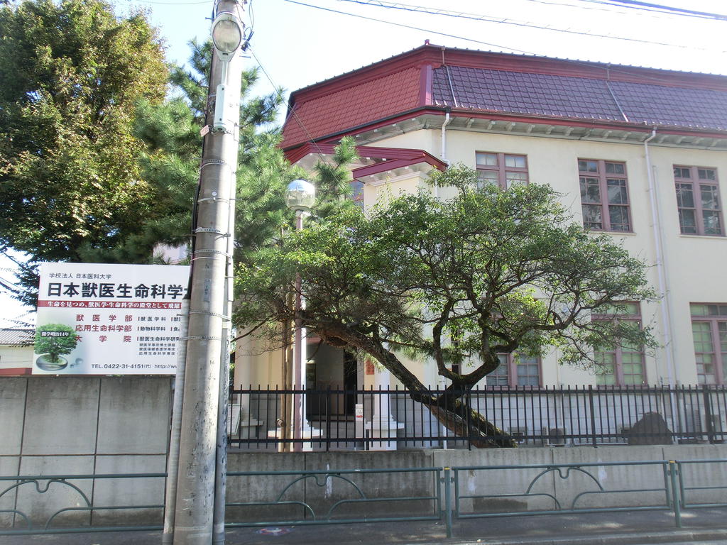 University ・ Junior college. Nippon Life Insurance Institute of Science (University of ・ 1040m up to junior college)