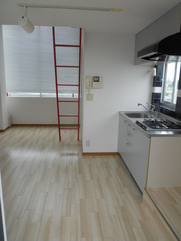 Living and room. Western-style 2