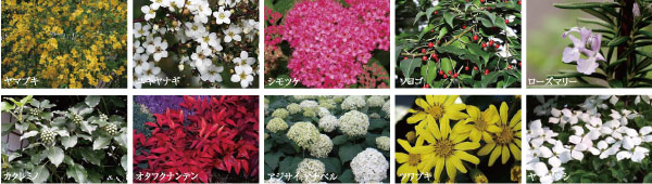 Features of the building.  [evergreen ・ A combination of deciduous trees, Year-round living, surrounded by green] From the creation of beautiful scenery, It is planted 栽計 picture was thought to safety and assets of.  ※ Providing park ・ Some planted 栽例 such as the center garden