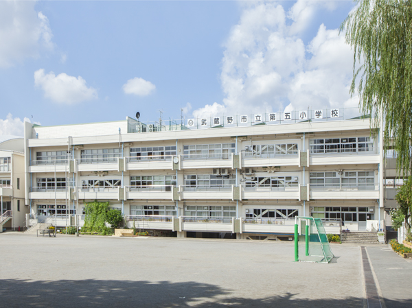 Other. Municipal fifth elementary school (about 680m)