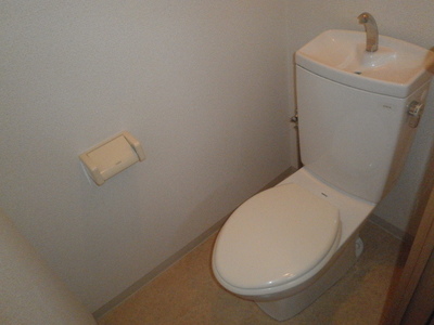 Toilet. Space calm simple