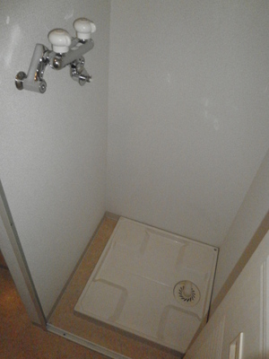 Other. For us down the dirt can be washed in hot water