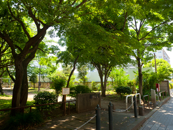 Surrounding environment. Wooden park (about 10m / Adjacent to the site)